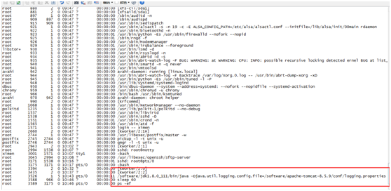在 Linux 虚拟机下配置 Tomcat 在 Linux 虚拟机下配置 Tomcat