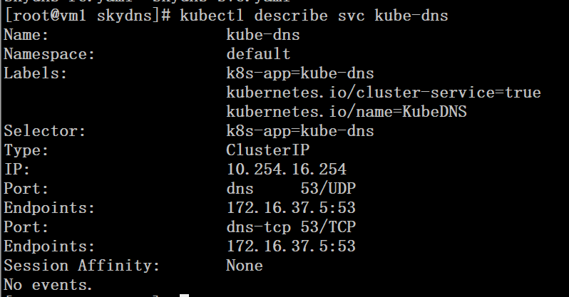 Kubernetes 集群配置 DNS 服务