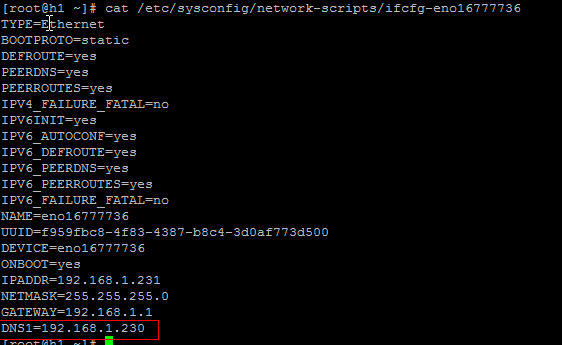 Hadoop 企业级集群架构 - DNS 安装 Hadoop 企业级集群架构 - DNS 安装