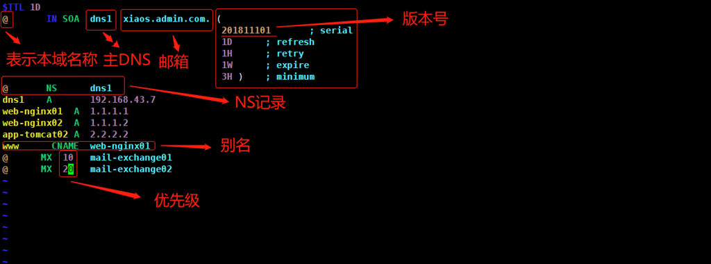 主 DNS 服务 - 正向解析 主 DNS 服务 - 正向解析