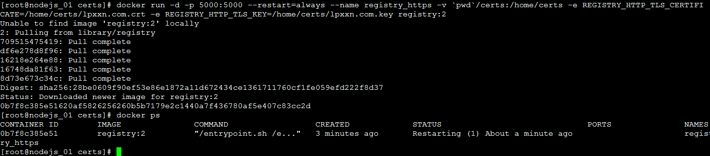 Docker 私有仓库 -- 自签名方式
