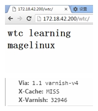 Linux 中 Varnish 基础应用