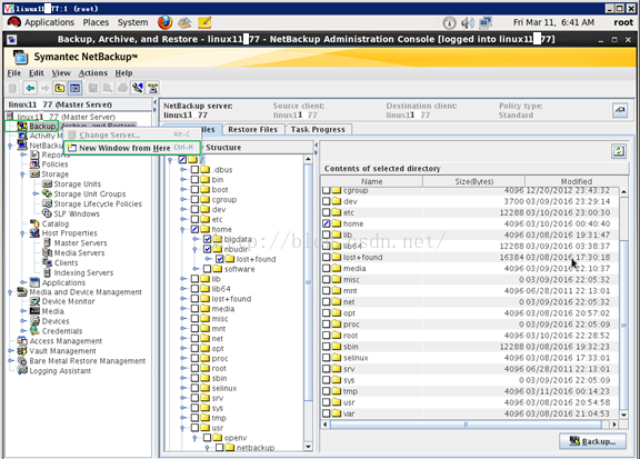备份还原工具 NetBackup7.6.1 安装配置使用文档 备份还原工具 NetBackup7.6.1 安装配置使用文档