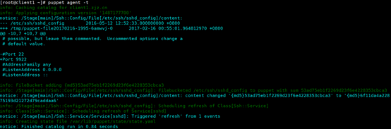 Puppet 的搭建和应用从入门到精通 Puppet 的搭建和应用从入门到精通