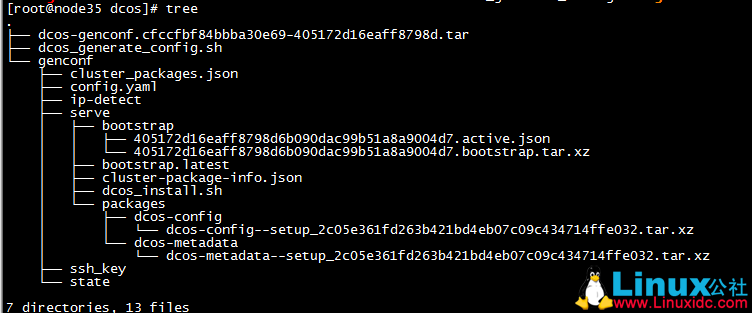 CentOS 7.2 安装 DCOS 详解 CentOS 7.2 安装 DCOS 详解