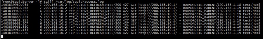 Linux 下 Squid 代理缓存服务环境部署 Linux 下 Squid 代理缓存服务环境部署