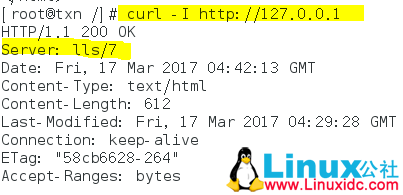 Nginx 优化与防盗链 Nginx 优化与防盗链