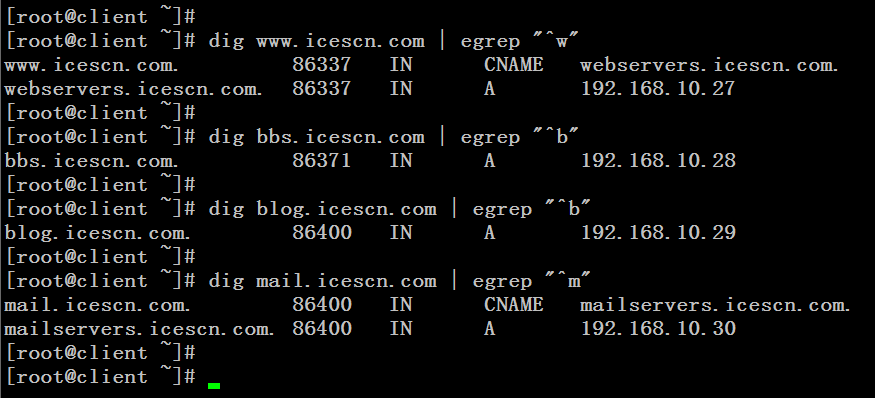 基于 BIND 软件实现互联网 DNS 解析 基于 BIND 软件实现互联网 DNS 解析
