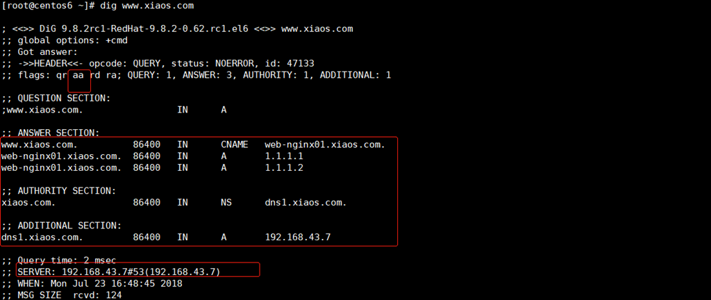 主 DNS 服务 - 正向解析 主 DNS 服务 - 正向解析