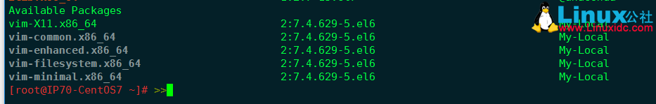 搭建基于 http 的本地 yum 源服务器 搭建基于 http 的本地 yum 源服务器