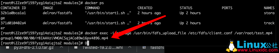 Docker 来搭建分布式文件系统 FastDFS Docker 来搭建分布式文件系统 FastDFS