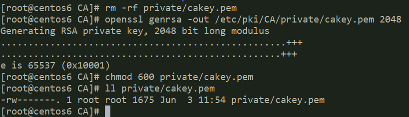 创建私有 CA 并签发证书 创建私有 CA 并签发证书