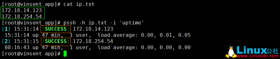 Shell 脚本实现 SSH 免密登录及批量配置管理 Shell 脚本实现 SSH 免密登录及批量配置管理