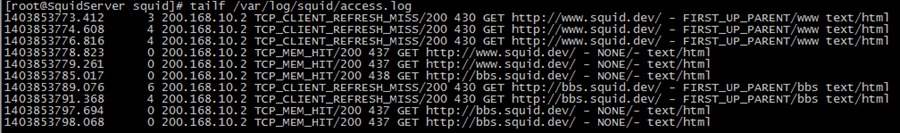 Linux 下 Squid 代理缓存服务环境部署 Linux 下 Squid 代理缓存服务环境部署