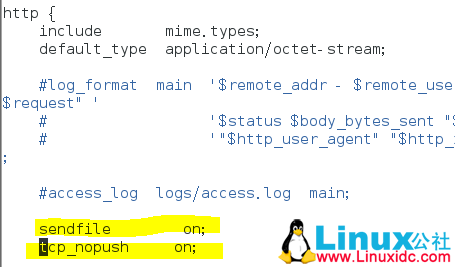 Nginx 优化与防盗链 Nginx 优化与防盗链