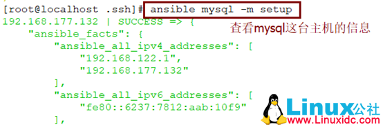 自动化运维之 Ansible 的安装部署与命令模块