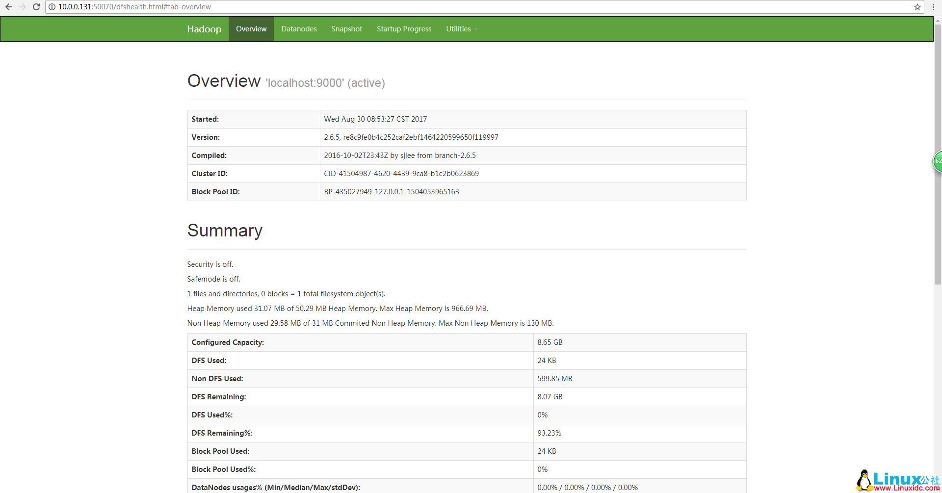 Hadoop 初体验：快速搭建 Hadoop 伪分布式环境