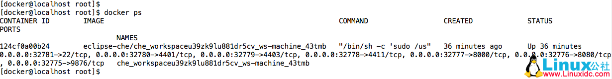 Eclispse Che（2）：启动 Che 服务，进入 IDE 界面
