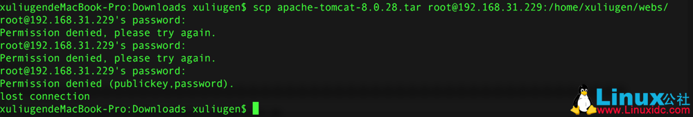 ssh 使用 scp: / 目录: Permission denied ssh 使用 scp: / 目录: Permission denied