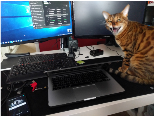 使用树莓派部署网络监视器 使用树莓派部署网络监视器