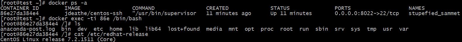 Docker 的核心概念