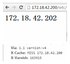 Linux 中 Varnish 基础应用