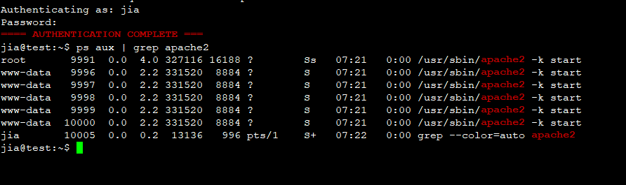 Ubuntu 18.04 部署 Web 平台(Apache+PHP 和 Nginx+PHP) Ubuntu 18.04 部署 Web 平台(Apache+PHP 和 Nginx+PHP)