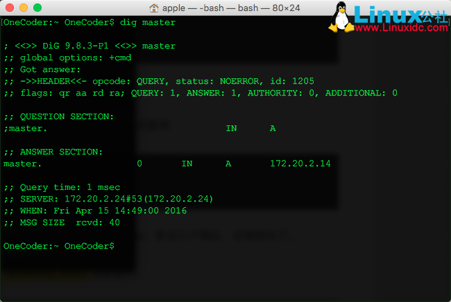 Docker 下搭建 DNS 服务器 DNSmasq