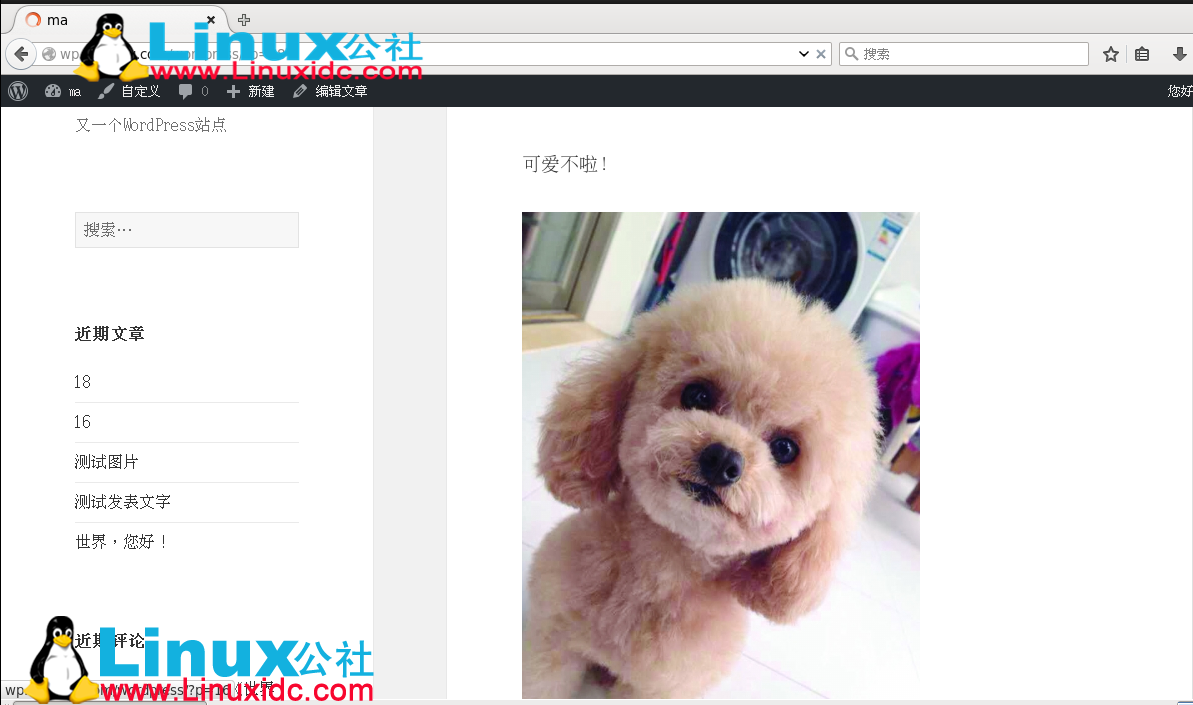 基于 LAMP 平台利用 NFS 远程共享资源实现站点构建 基于 LAMP 平台利用 NFS 远程共享资源实现站点构建
