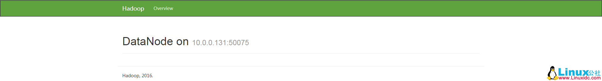 Hadoop 初体验:快速搭建 Hadoop 伪分布式环境 Hadoop 初体验:快速搭建 Hadoop 伪分布式环境