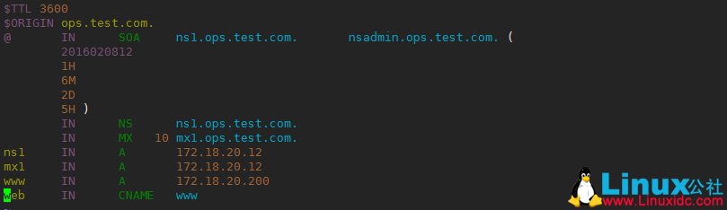 自己动手搭建 DNS 服务器 自己动手搭建 DNS 服务器