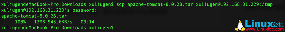 ssh 使用 scp: / 目录: Permission denied ssh 使用 scp: / 目录: Permission denied