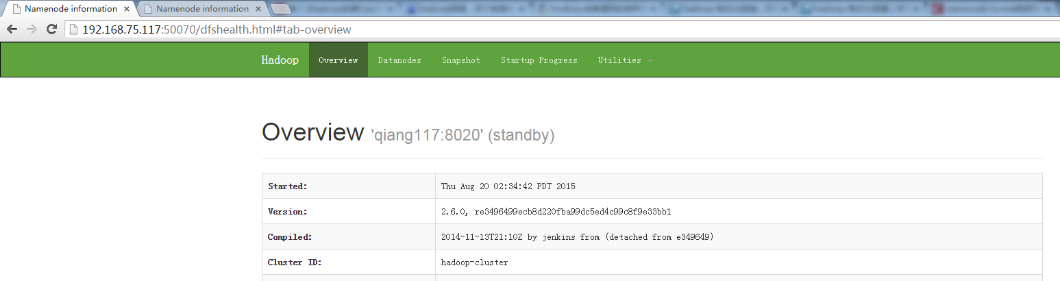 HA-Federation-HDFS +Yarn 集群部署方式 HA-Federation-HDFS +Yarn 集群部署方式