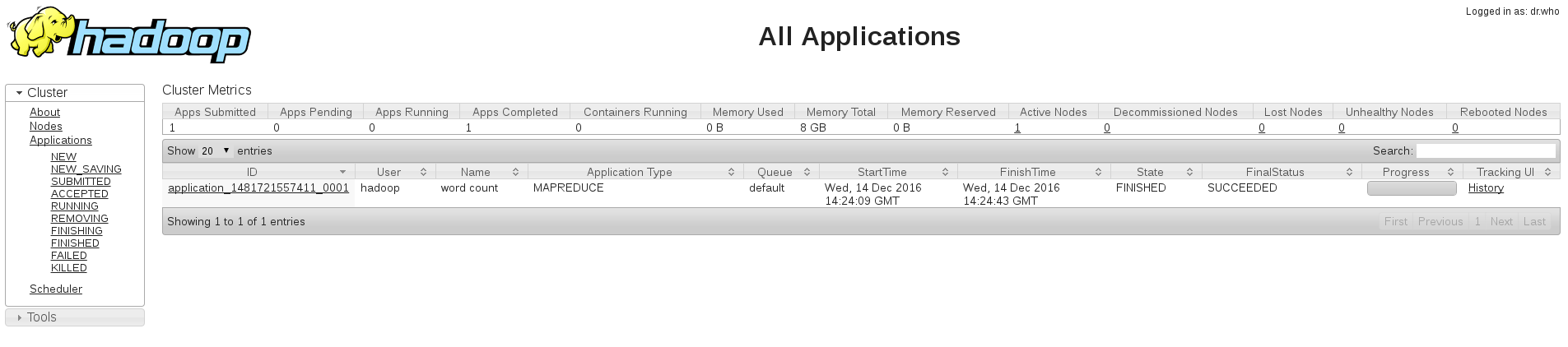 Hadoop 伪分布式集群环境搭建