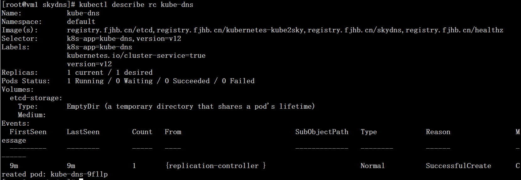Kubernetes 集群配置 DNS 服务