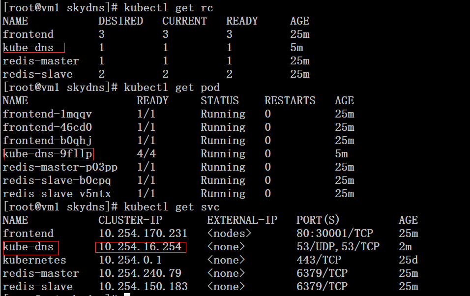 Kubernetes 集群配置 DNS 服务