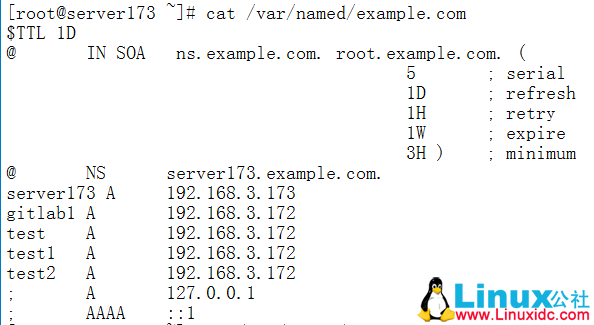 CentOS 7 下 DNS 主从服务搭建及问题故障排错 CentOS 7 下 DNS 主从服务搭建及问题故障排错