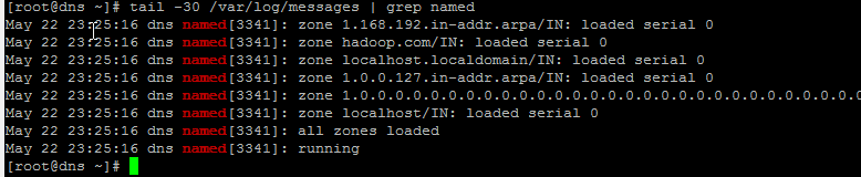 Hadoop 企业级集群架构 - DNS 安装 Hadoop 企业级集群架构 - DNS 安装