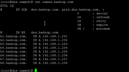 Hadoop 企业级集群架构 - DNS 安装 Hadoop 企业级集群架构 - DNS 安装