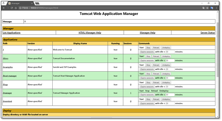 企业级 Tomcat 部署实践及安全调优 企业级 Tomcat 部署实践及安全调优