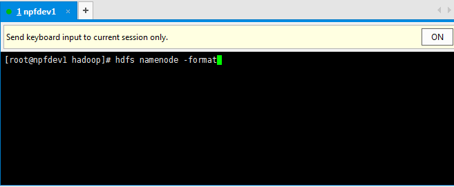 Hadoop 的安装与环境搭建 Hadoop 的安装与环境搭建