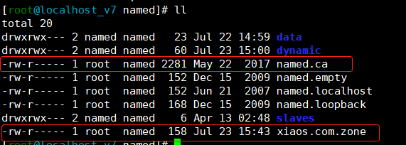 主 DNS 服务 - 正向解析 主 DNS 服务 - 正向解析