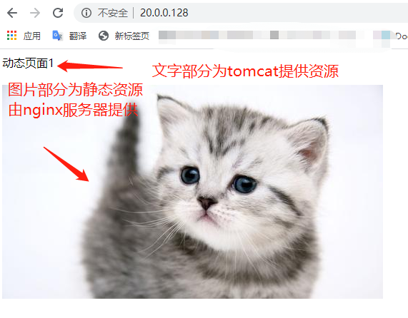 搭建 Nginx+Tomcat 集群实现负载均衡及动静分离 搭建 Nginx+Tomcat 集群实现负载均衡及动静分离