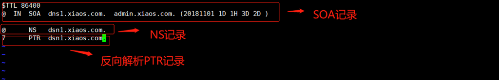 主 DNS 服务 - 反向解析
