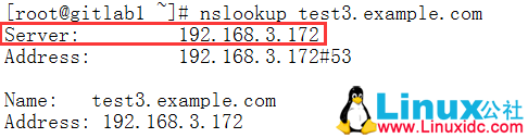 CentOS 7 下 DNS 主从服务搭建及问题故障排错 CentOS 7 下 DNS 主从服务搭建及问题故障排错