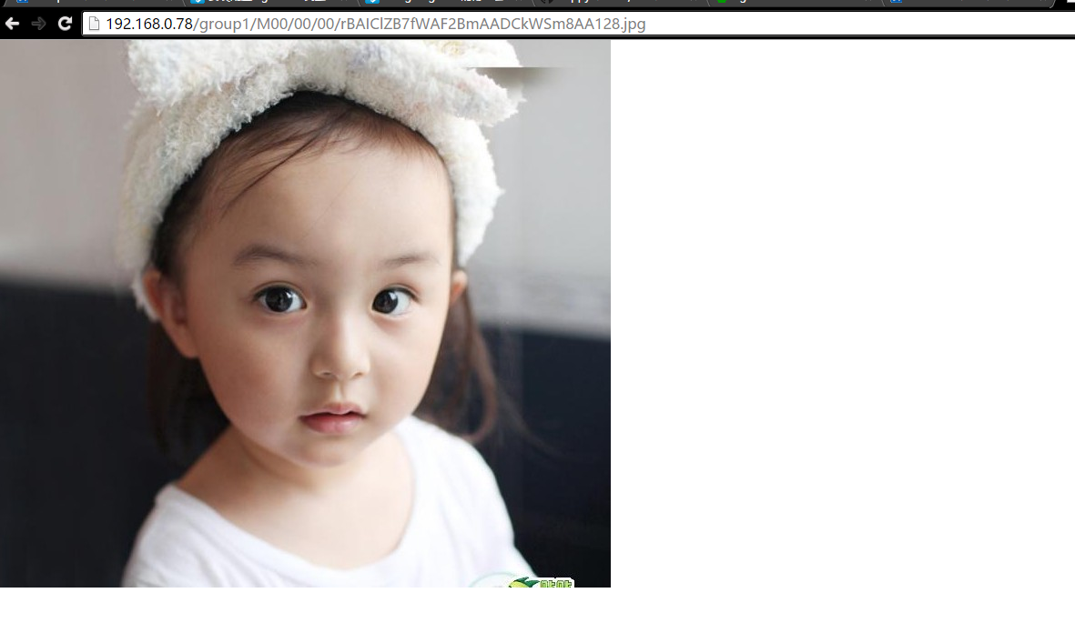 分布式文件系统 FastDFS 部署 分布式文件系统 FastDFS 部署