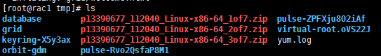 vSphere 在 RedHat6.0 上搭建 Oracle 11g R2 RAC 环境 vSphere 在 RedHat6.0 上搭建 Oracle 11g R2 RAC 环境