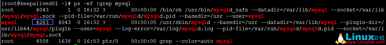 MySQL 密码忘记 root 怎么办？