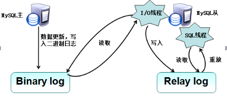 MySQL 主从复制与读写分离的工作原理