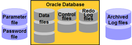 Oracle 数据库体系结构详解
